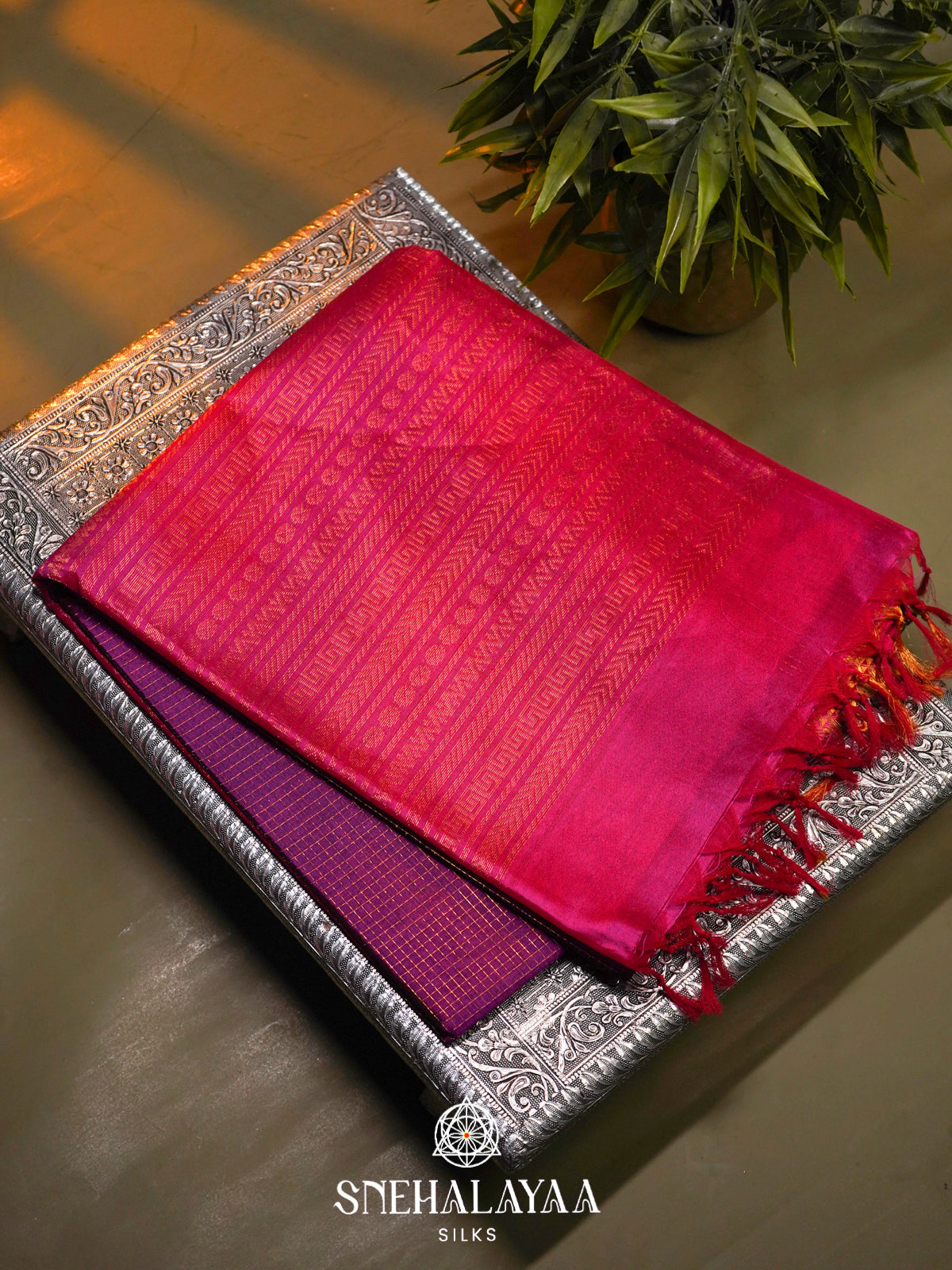 Violet Kanchi Silk Cotton Saree