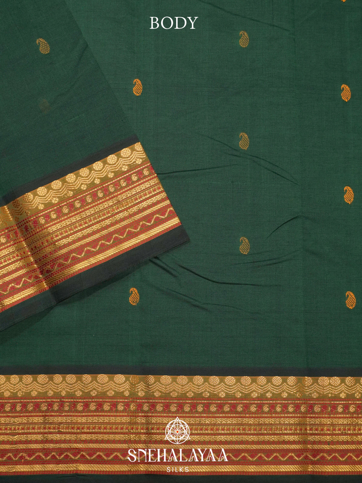 Green Kanchi Silk Cotton Saree
