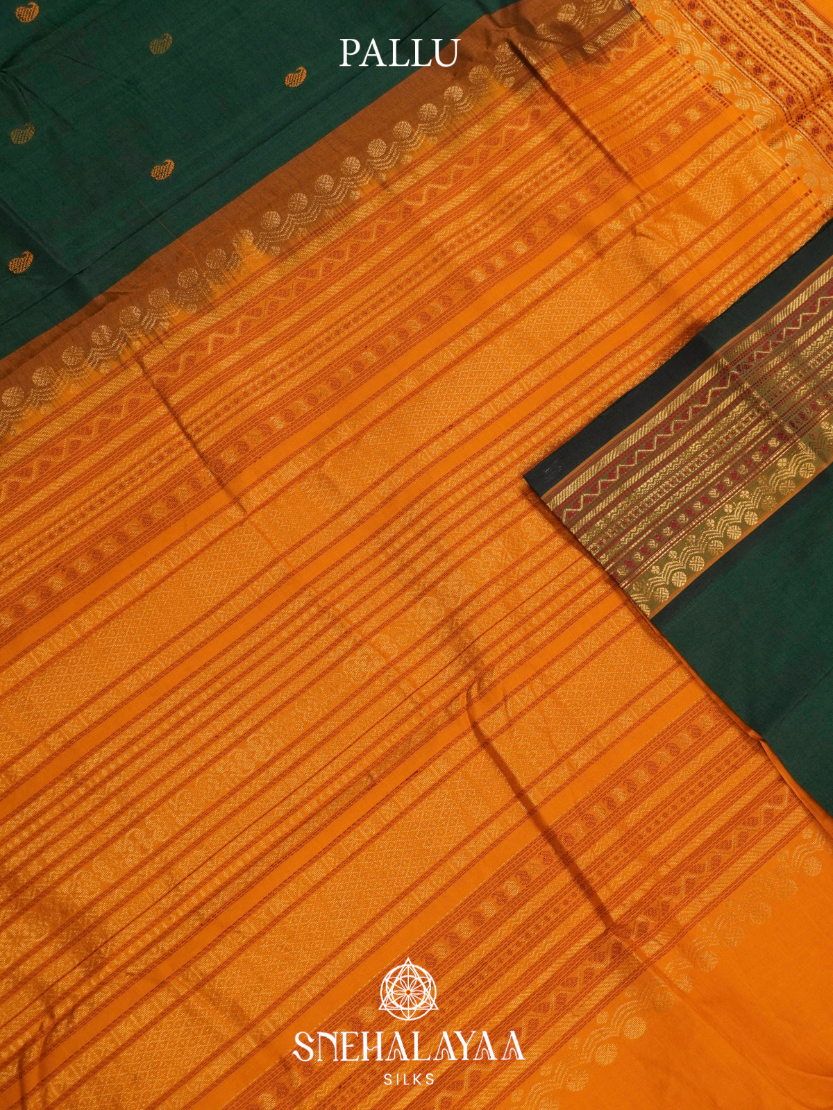Green Kanchi Silk Cotton Saree