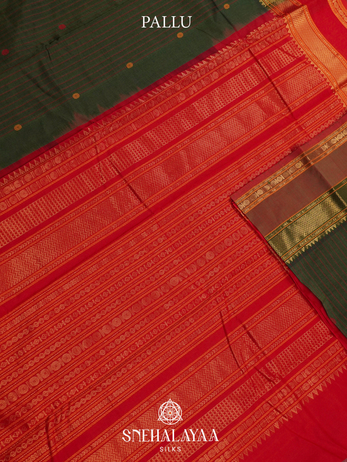 Green Kanchi Silk Cotton Saree