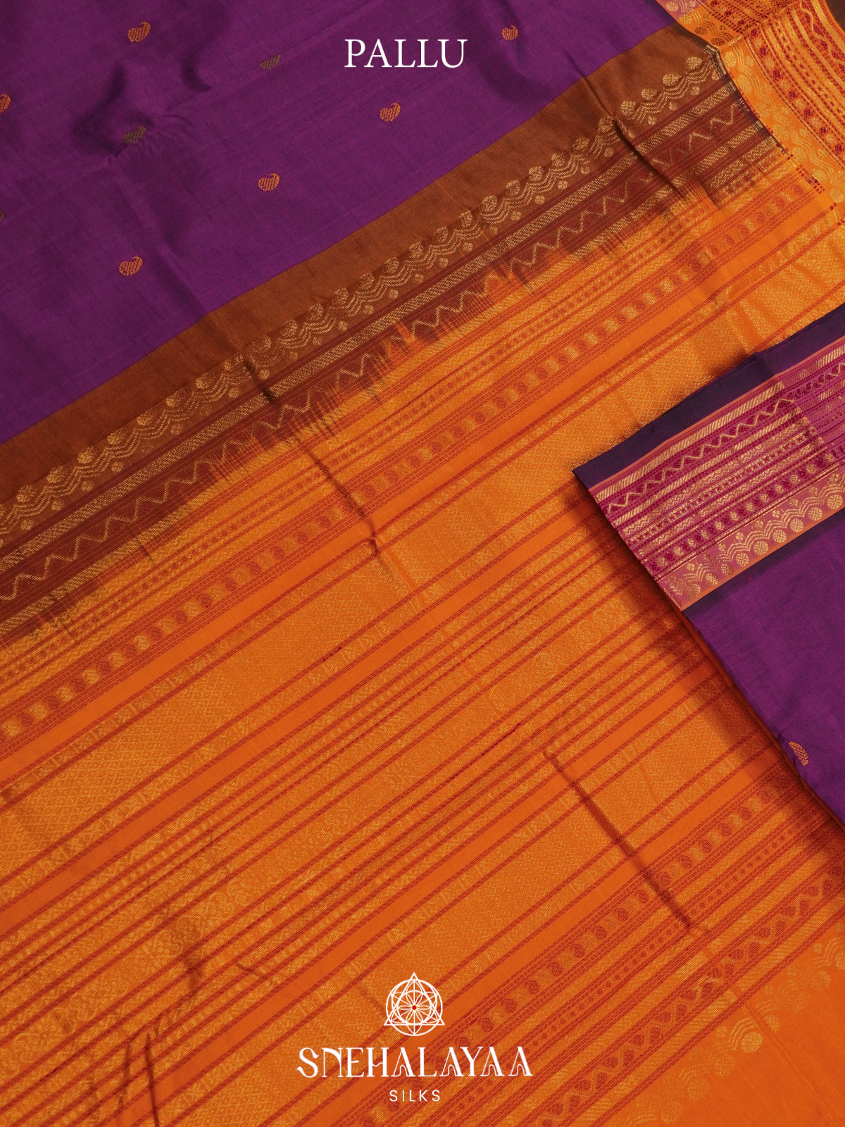 Purple Kanchi Silk Cotton Saree