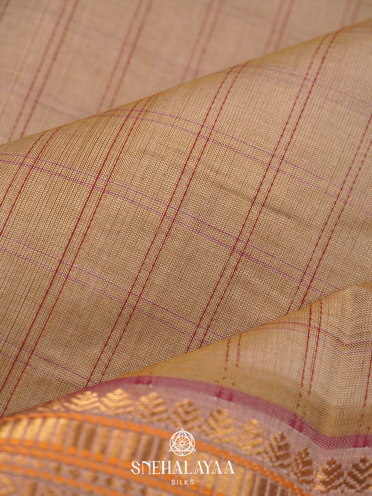 Beige Kanchi Silk Cotton Saree