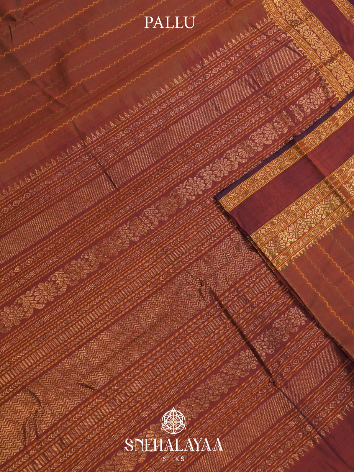 Terracotta Kanchi Silk Cotton Saree