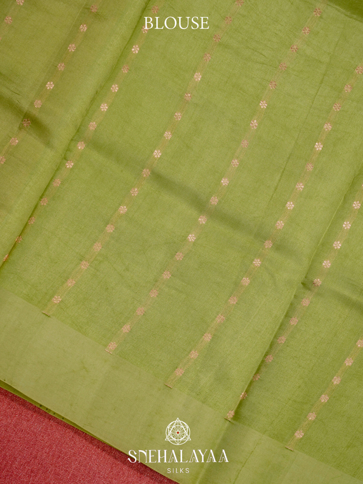 Pista Green Raw Silk Saree