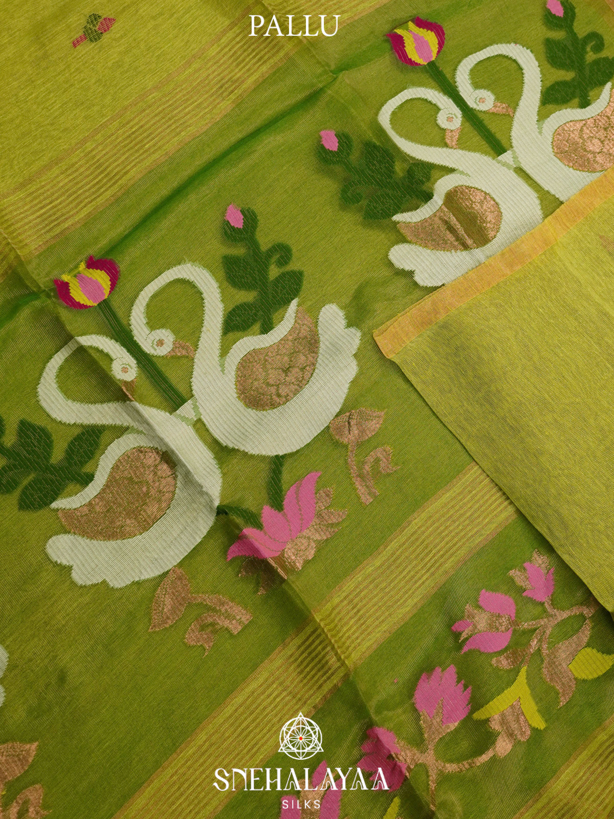Lime Green Linen Saree