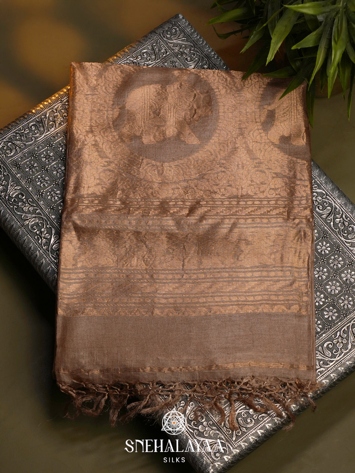 Beige Gold Tussar Saree