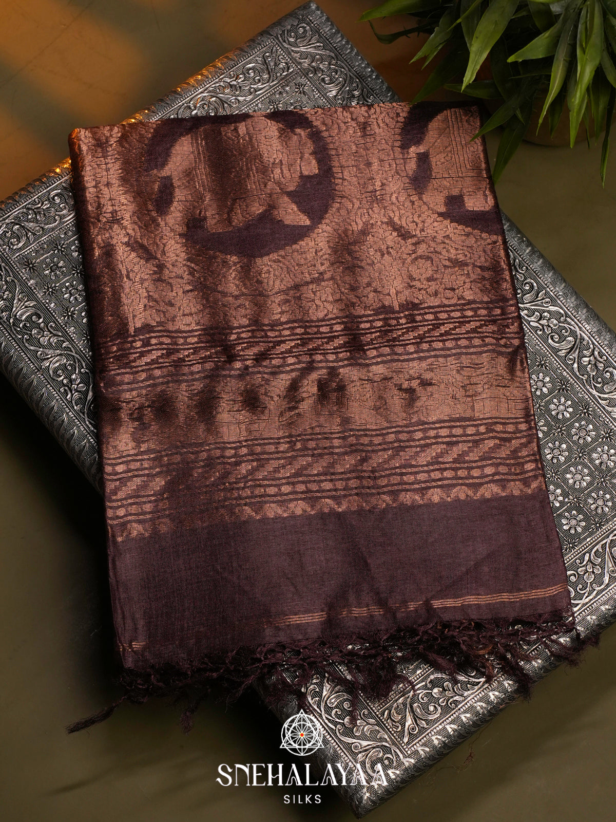 Brown Tussar Saree
