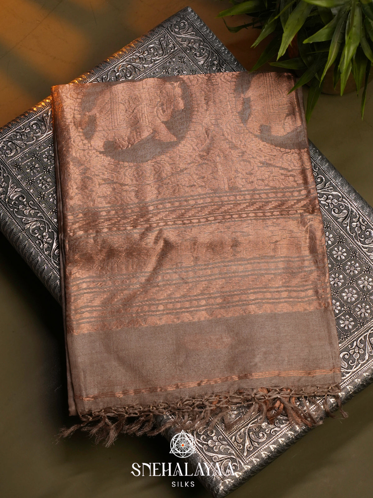 Beige Gold Tussar Saree