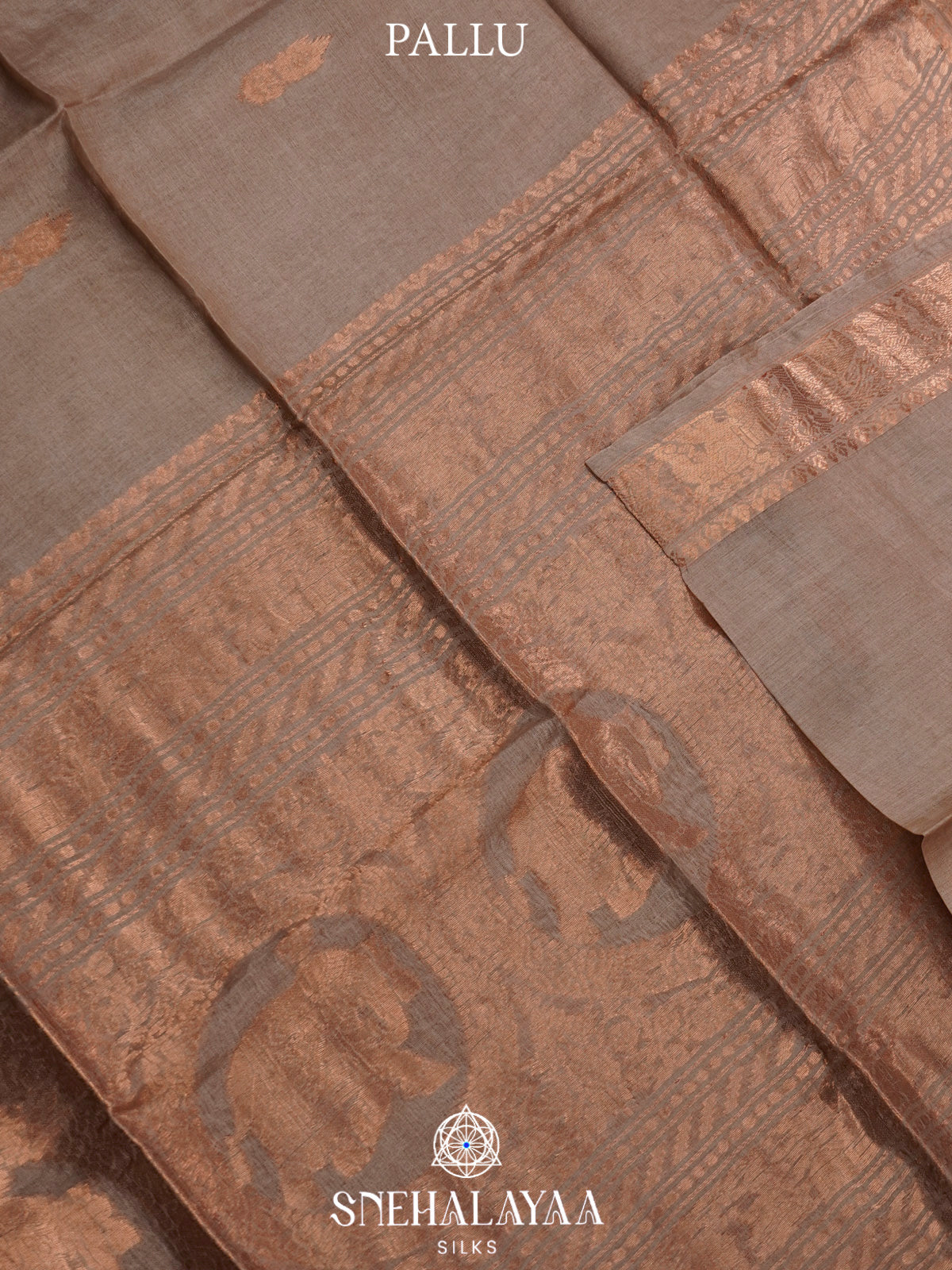 Beige Gold Tussar Saree