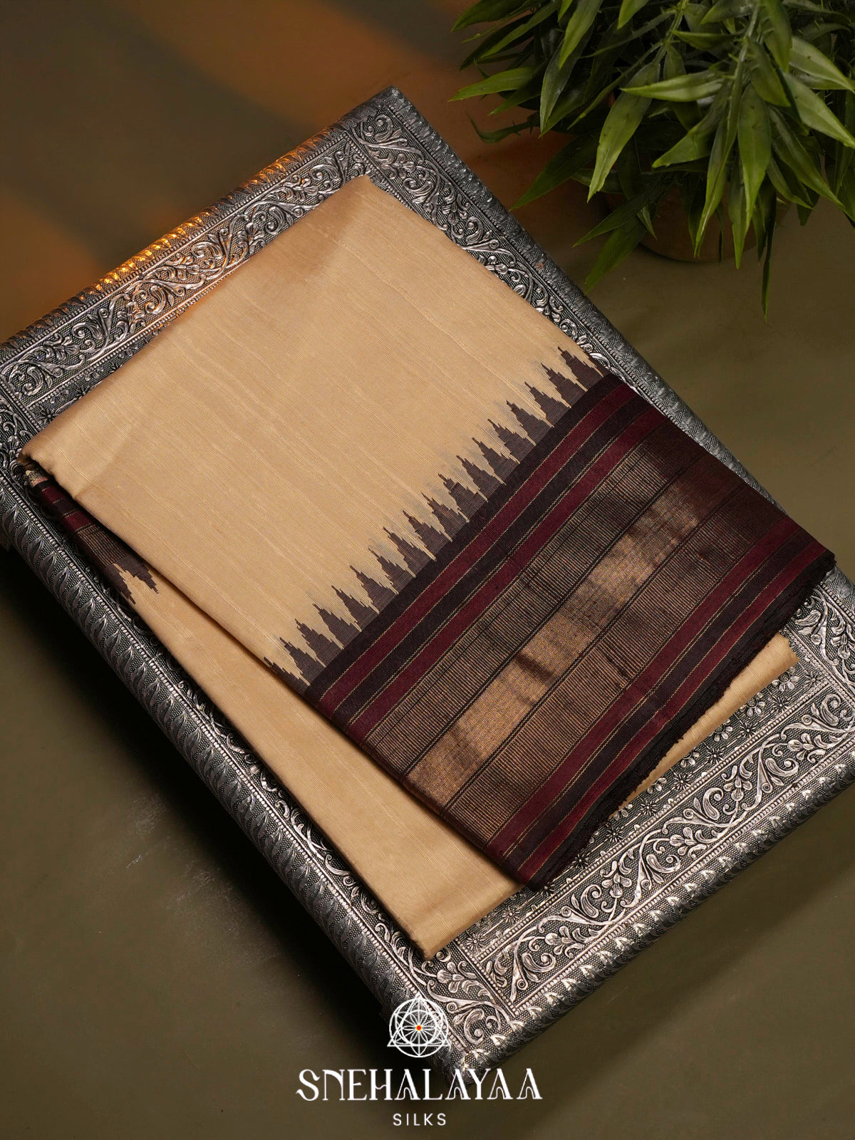 Beige Dupion Silk Saree