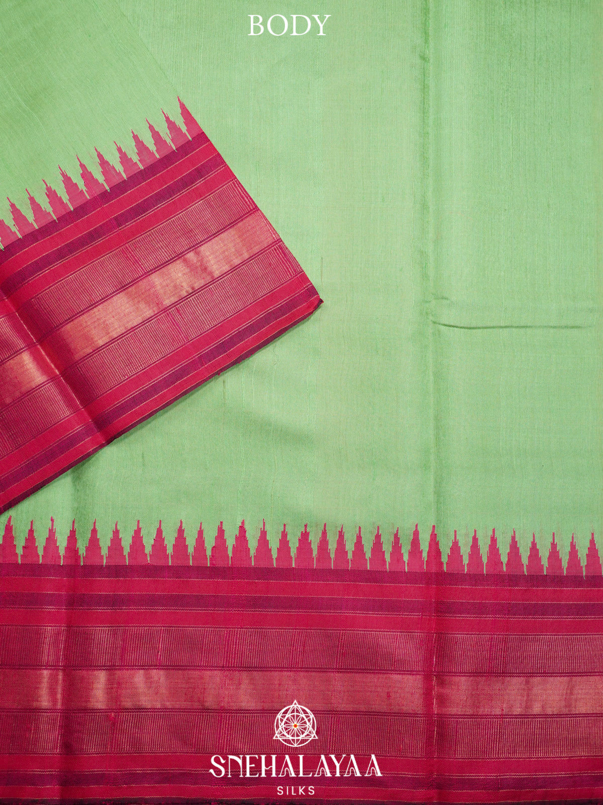 Pista Green Dupion Silk Saree