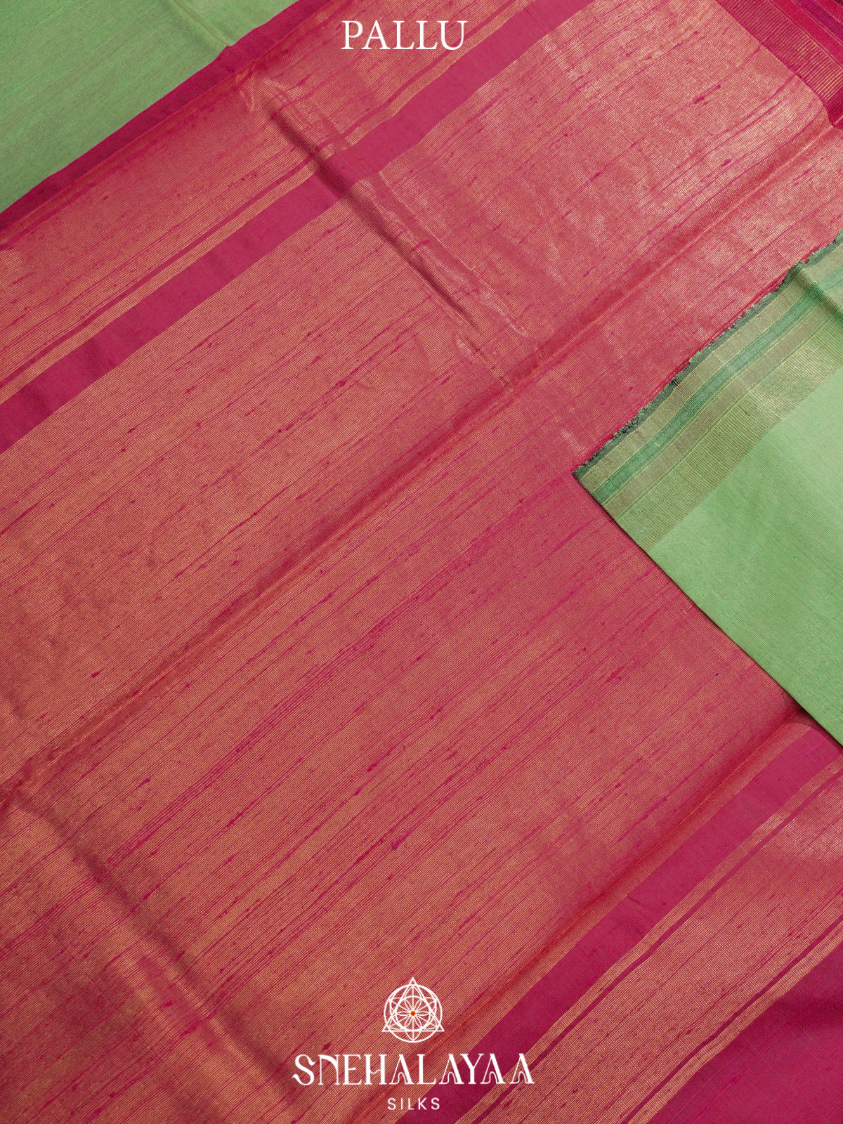 Pista Green Dupion Silk Saree