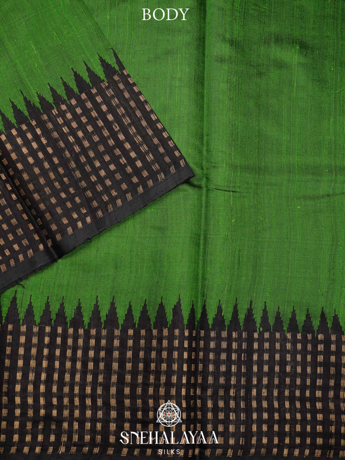 Green Dupion Silk Saree