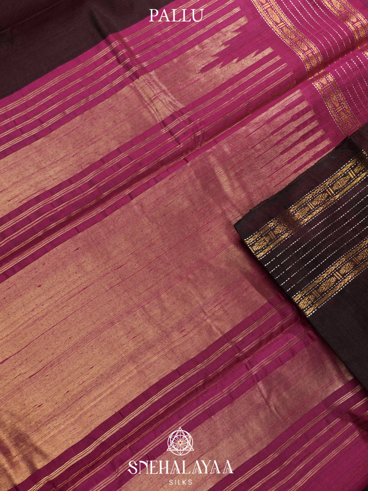 Brown Dupion Silk Saree