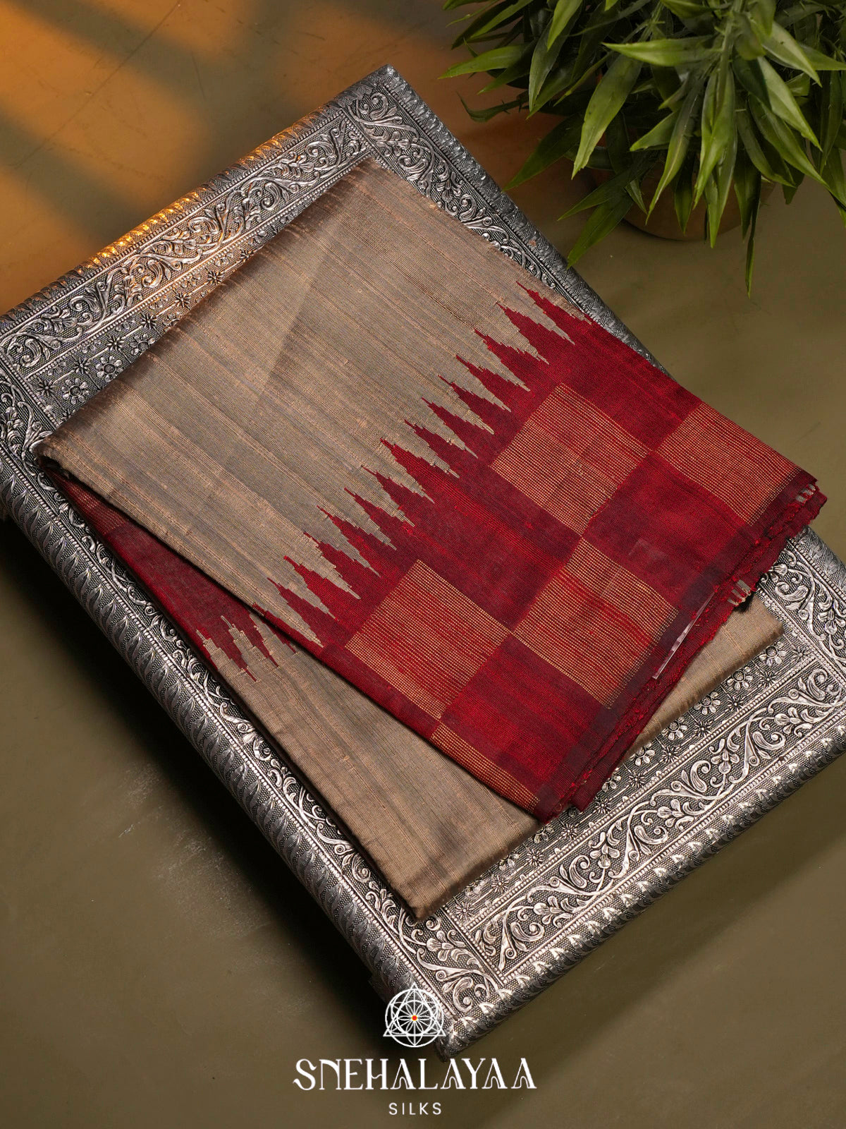 Beige Dupion Silk Saree