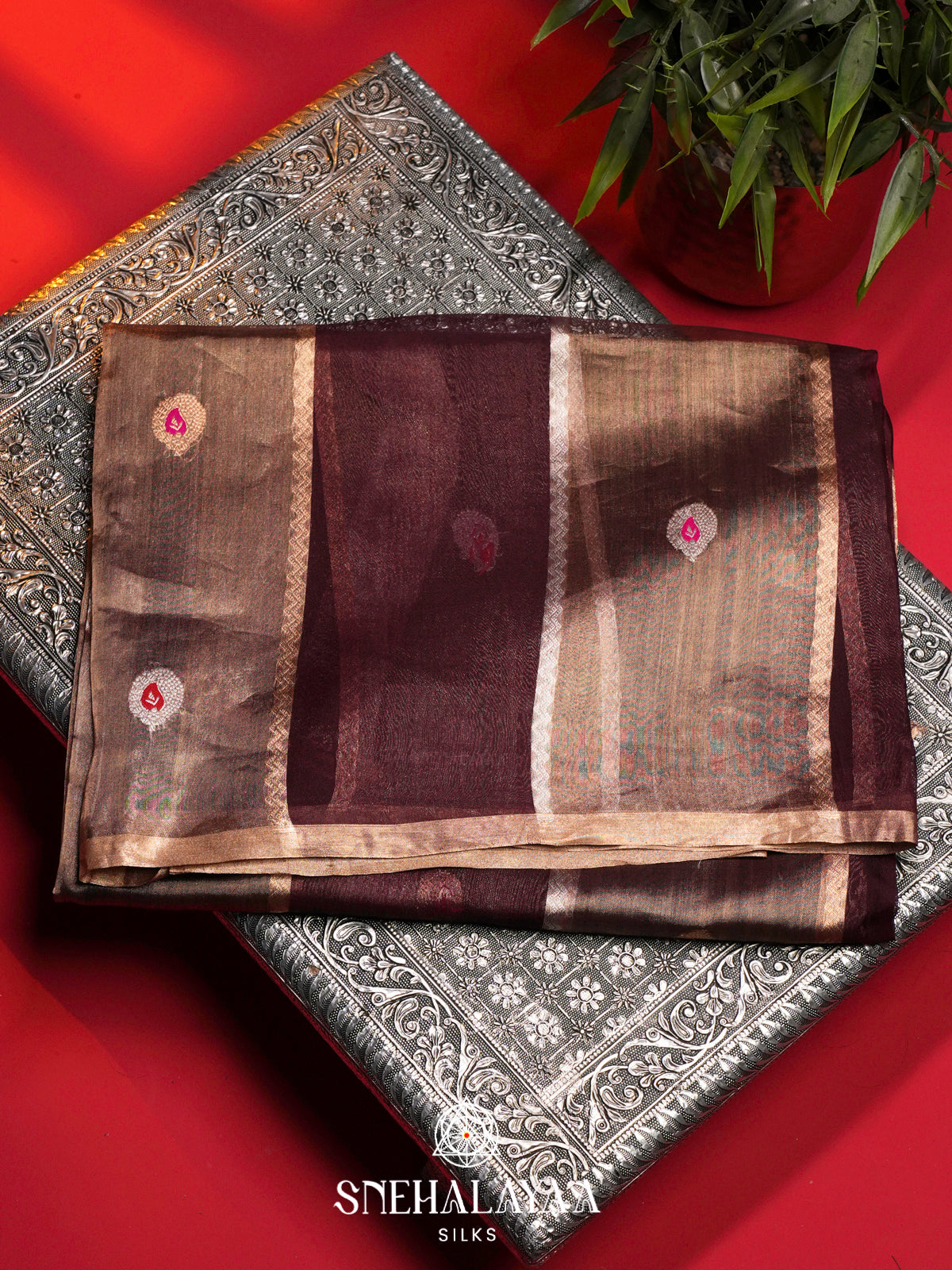 Beige and Brown Kora Silk Saree