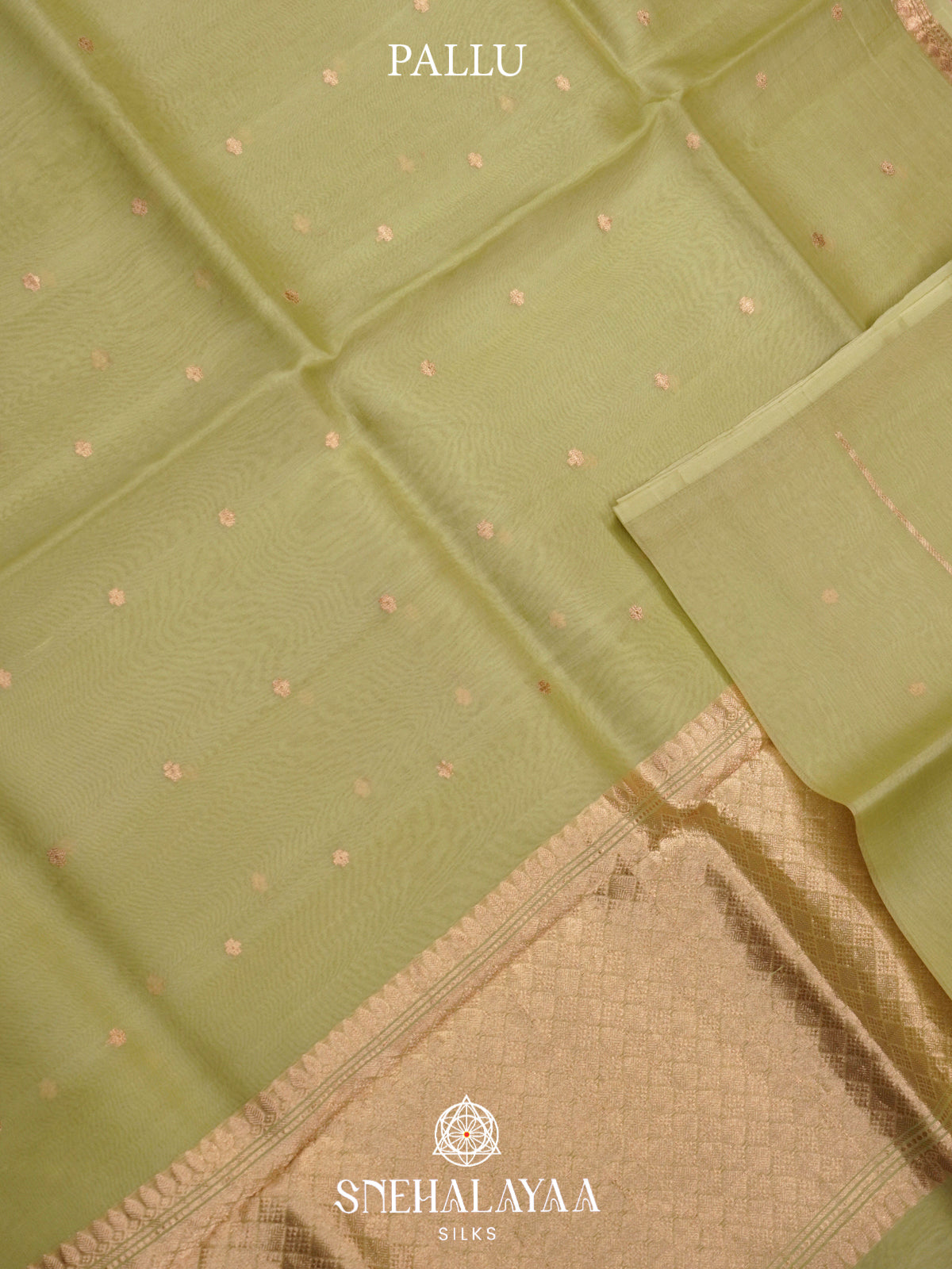 Sage Green Kora Silk Saree