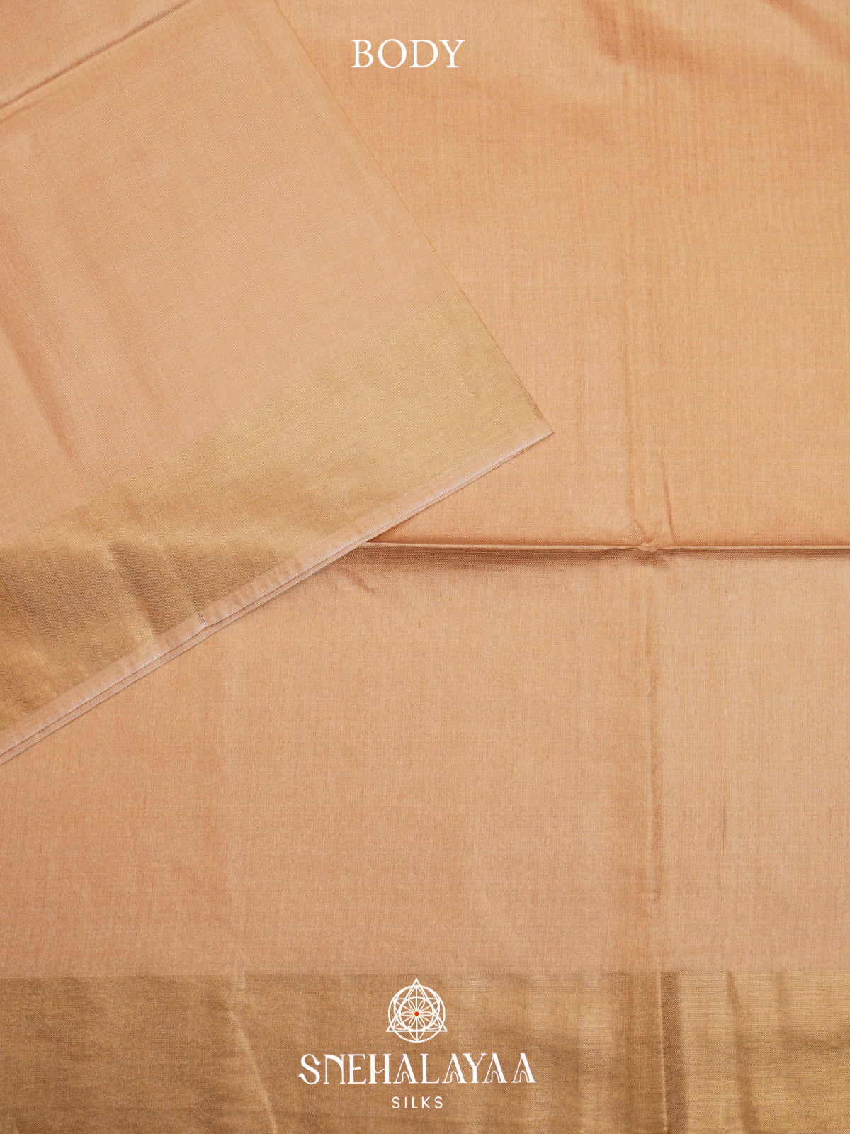 Beige HandPrinted Madhubani Tussar Silk Saree