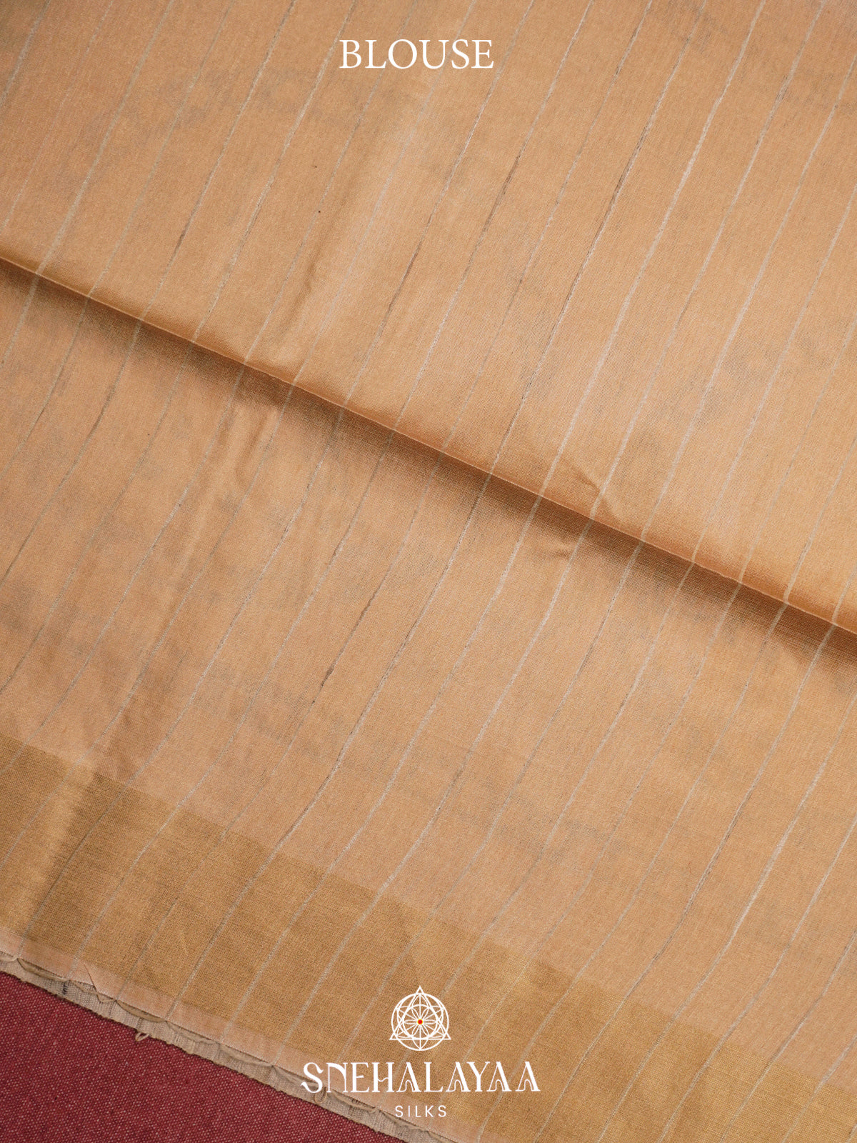 Beige HandPrinted Madhubani Tussar Silk Saree