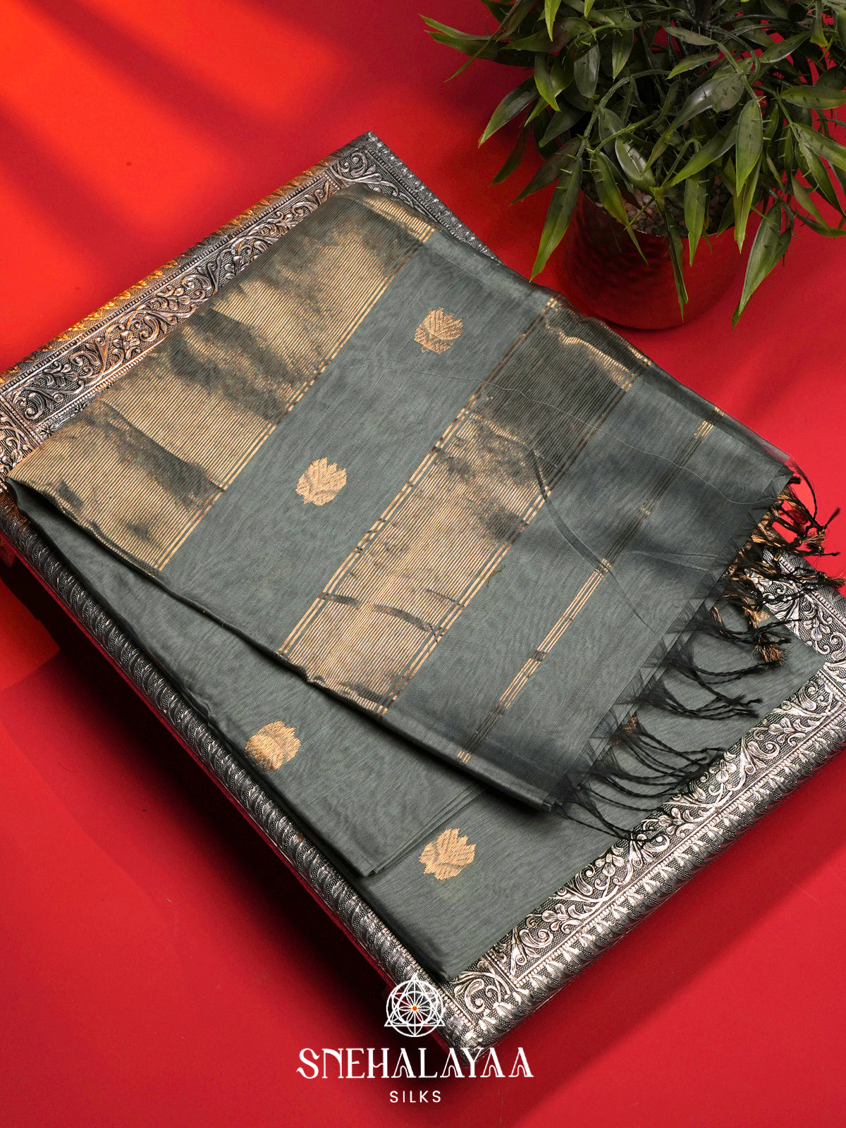 Grey Maheshwari Silk Cotton Saree