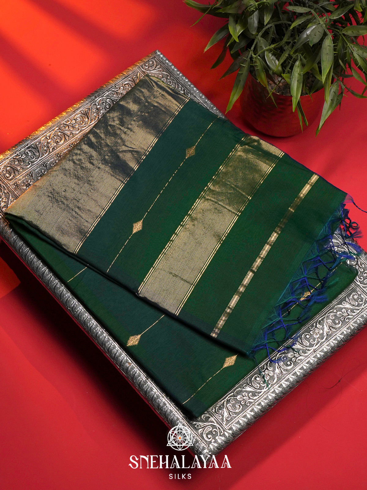 Green Maheshwari Silk Cotton Saree