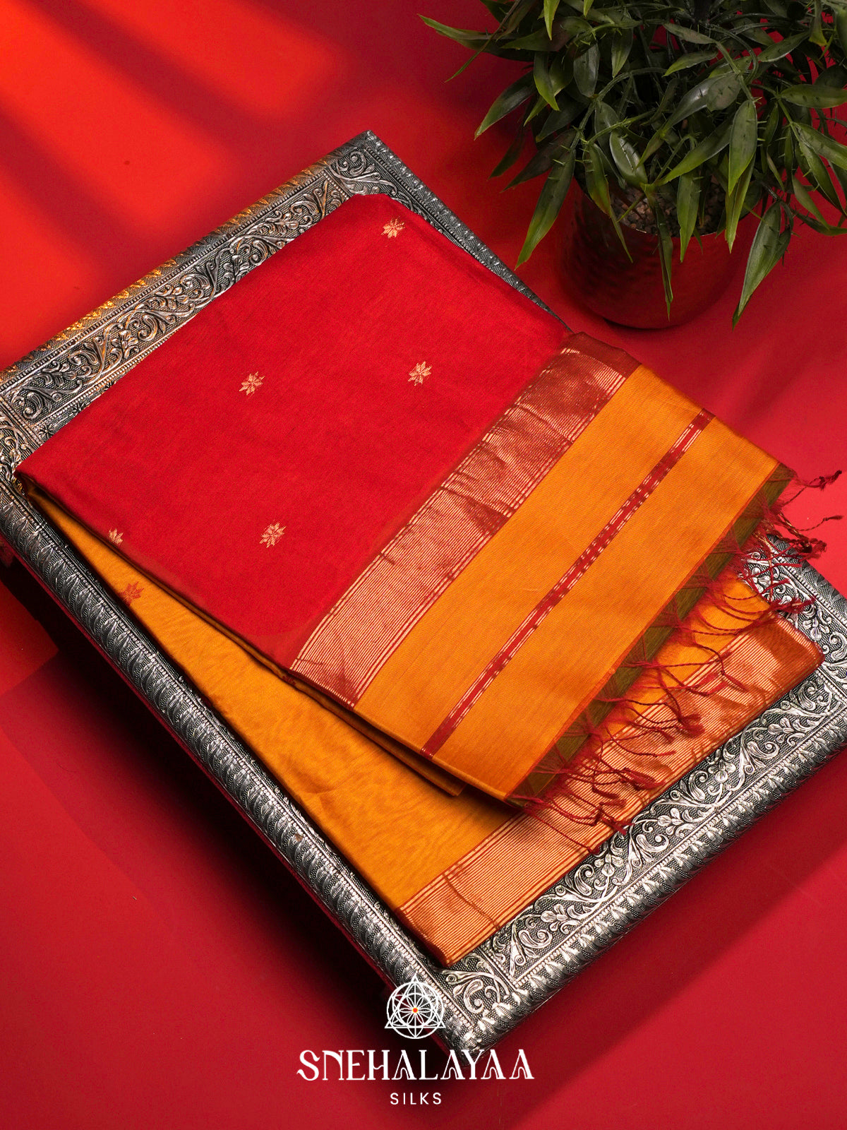 Mustard Yellow Maheshwari Silk Cotton Saree