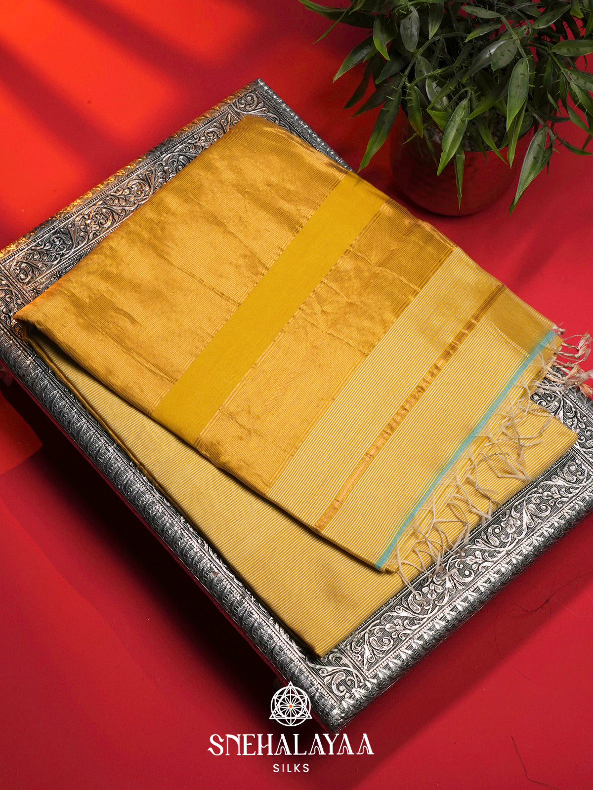 Yellow Maheshwari Silk Cotton Saree