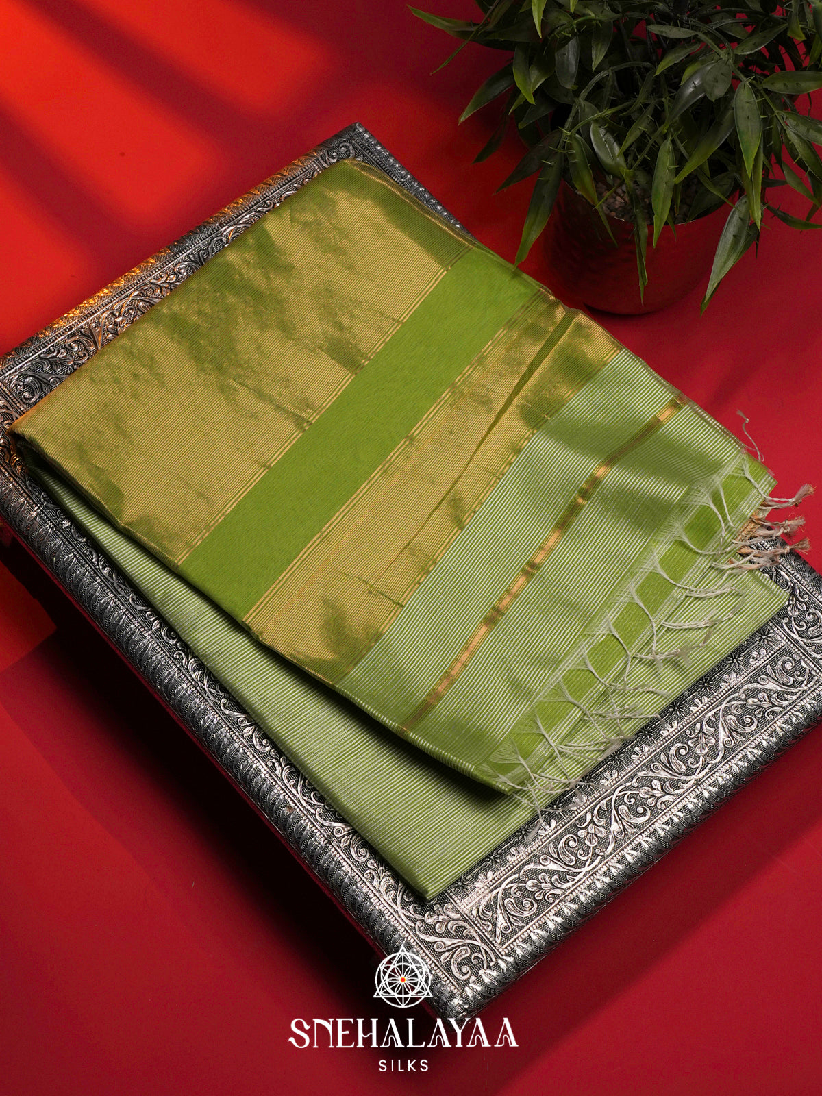 Green Maheshwari Silk Cotton Saree