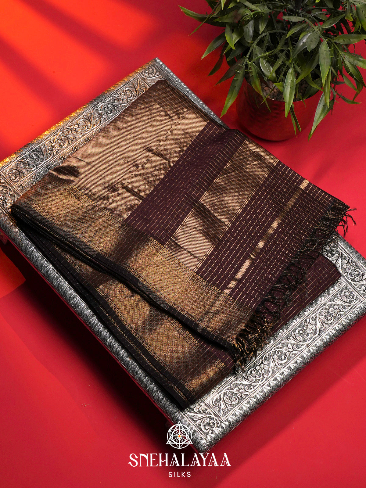 Brown Maheshwari Silk Cotton Saree