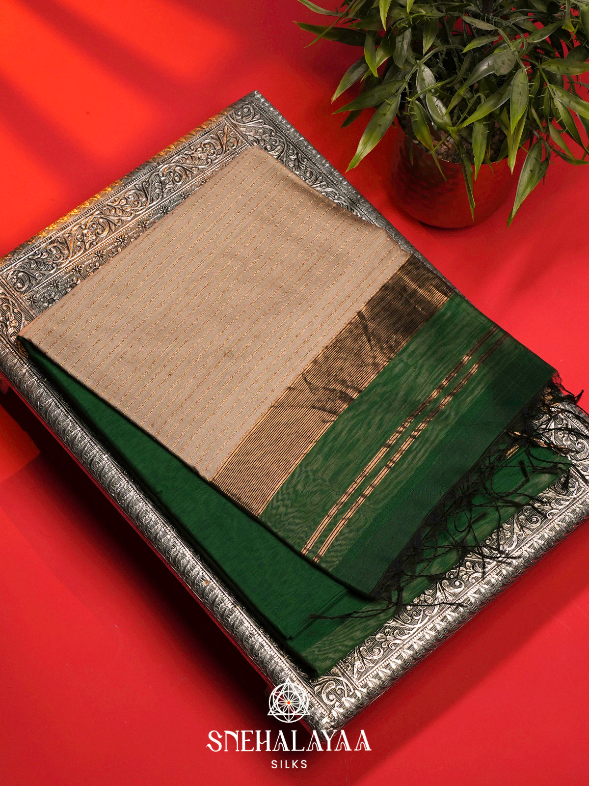 Green Maheshwari Silk Cotton Saree