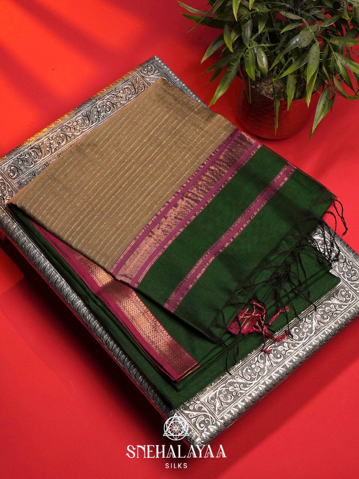 Green Maheshwari Silk Cotton Saree