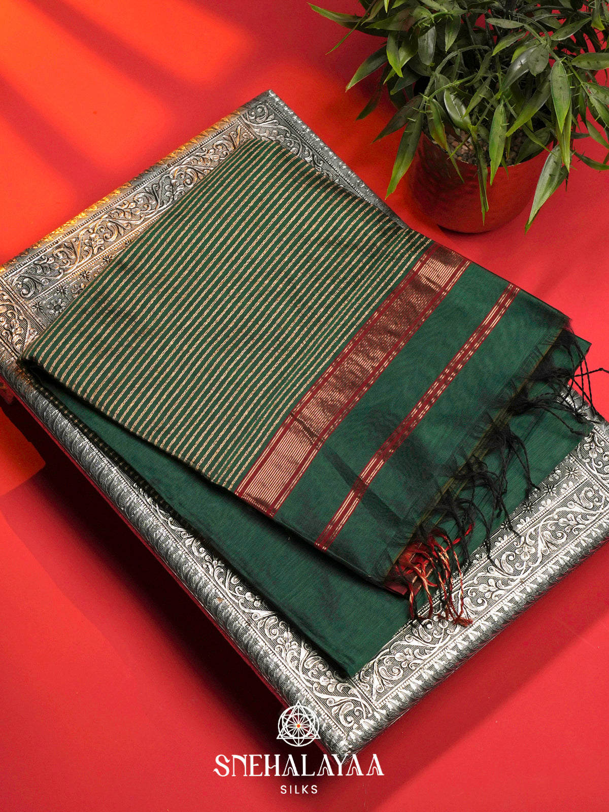 Green Maheshwari Silk Cotton Saree