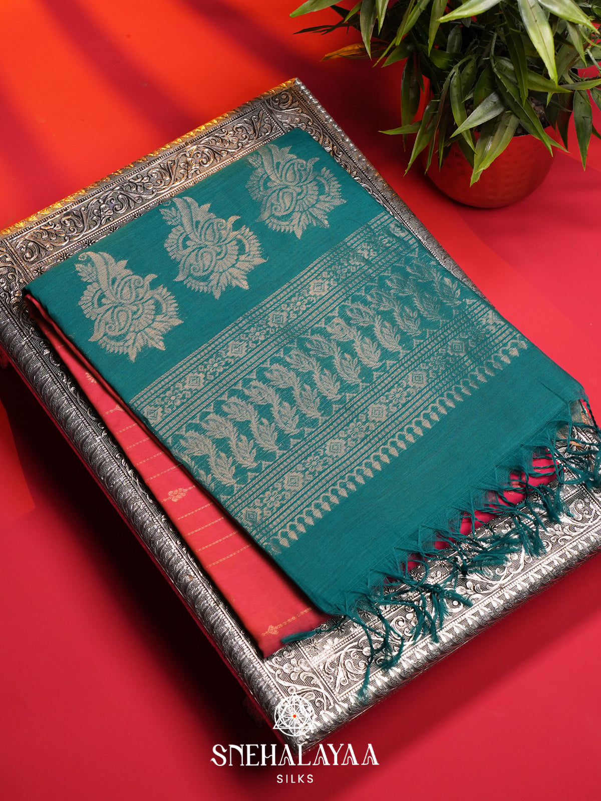 Red Kanchi Silk Cotton Saree