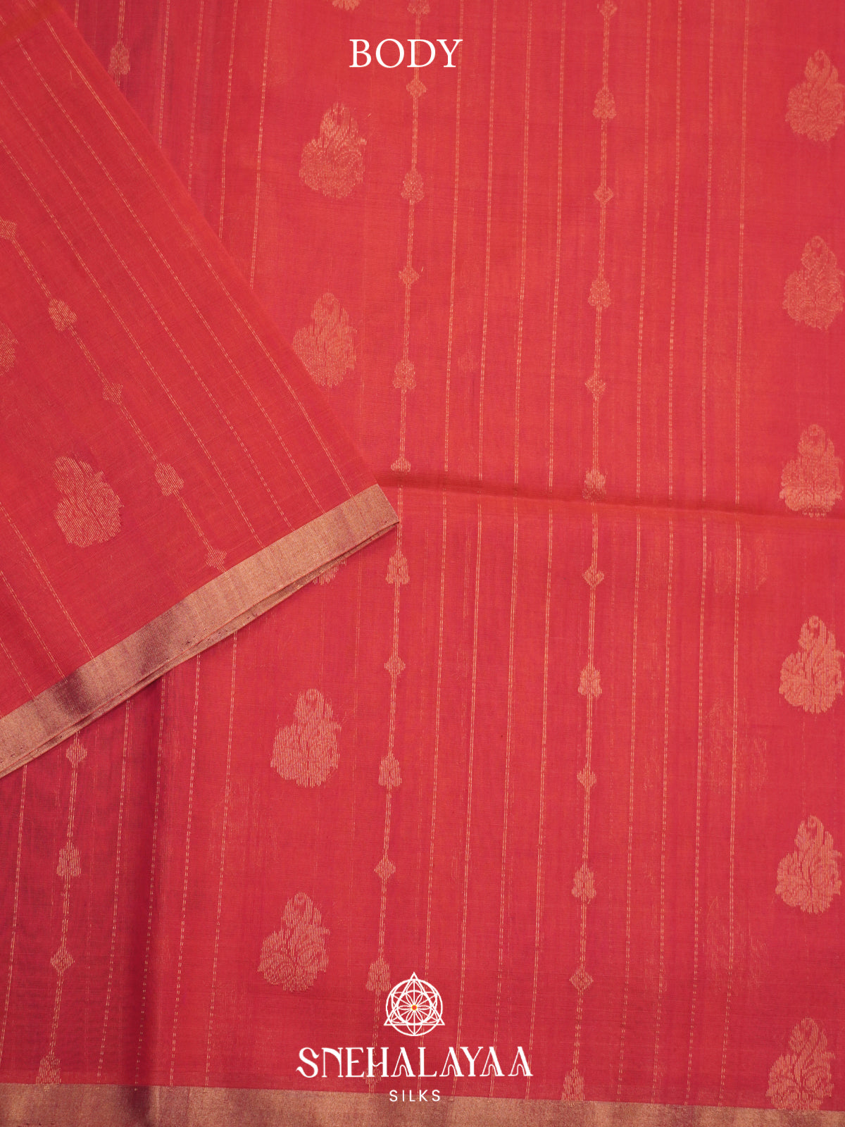 Red Kanchi Silk Cotton Saree