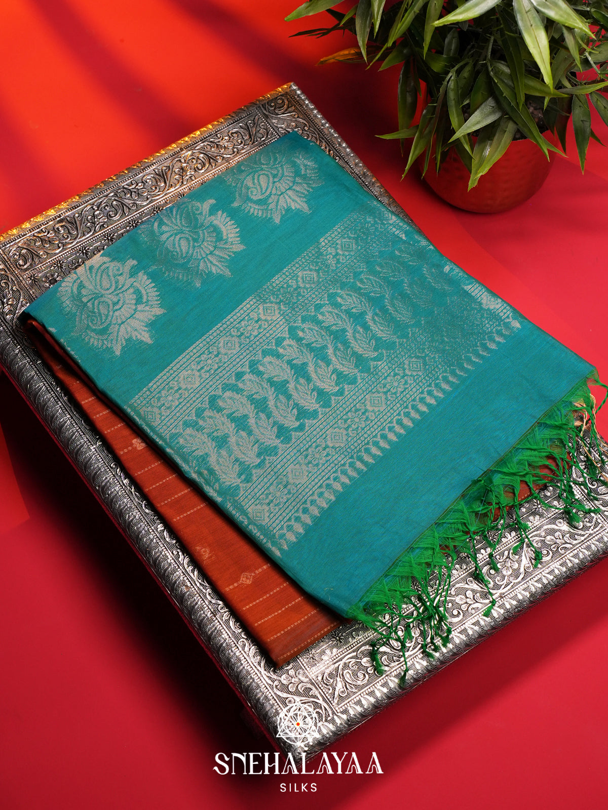 Burnt Orange Kanchi Silk Cotton Saree