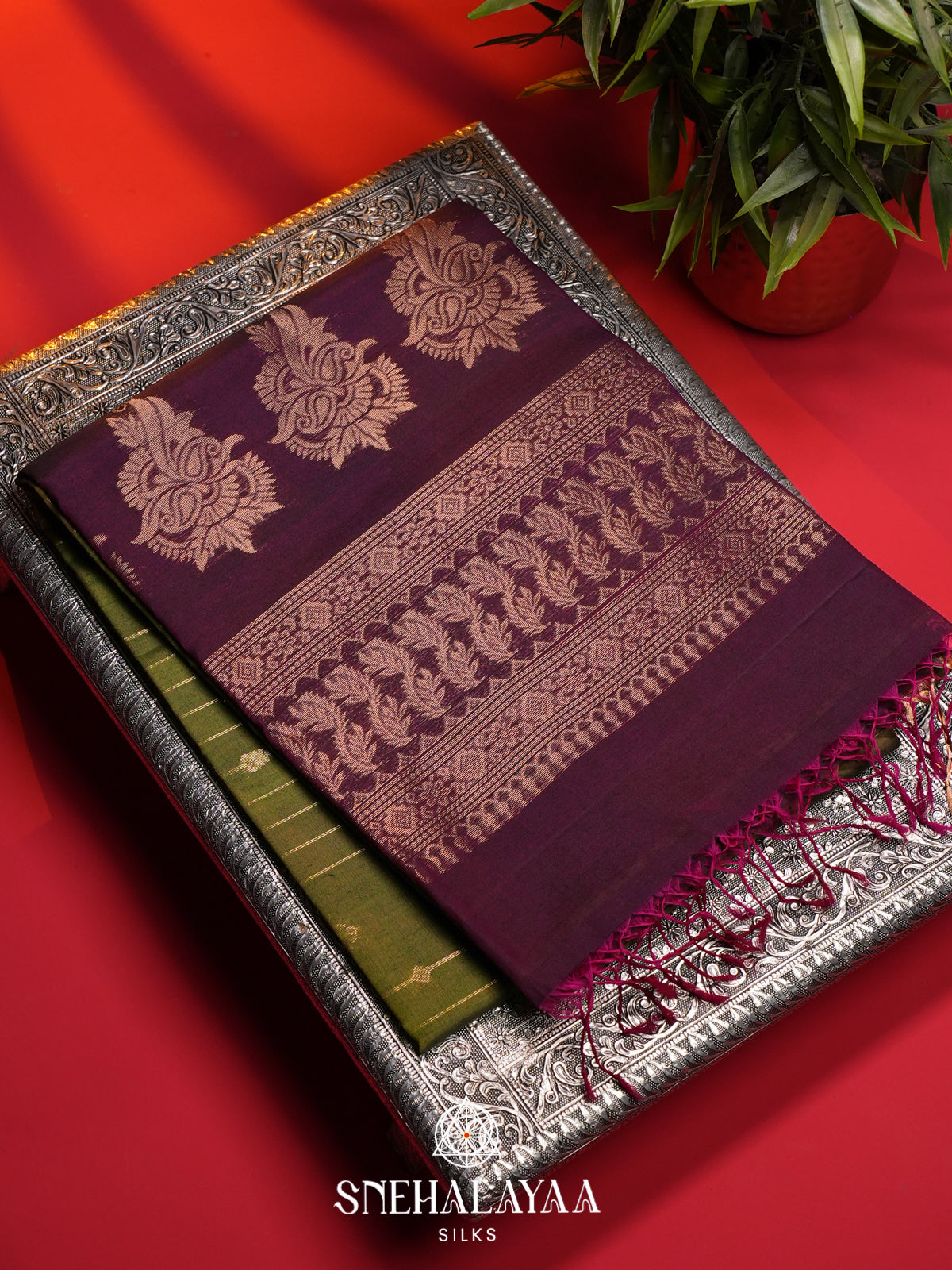 Olive Green Kanchi Silk Cotton Saree