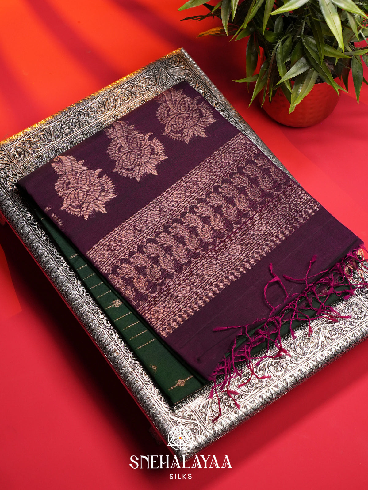 Forest Green Kanchi Silk Cotton Saree