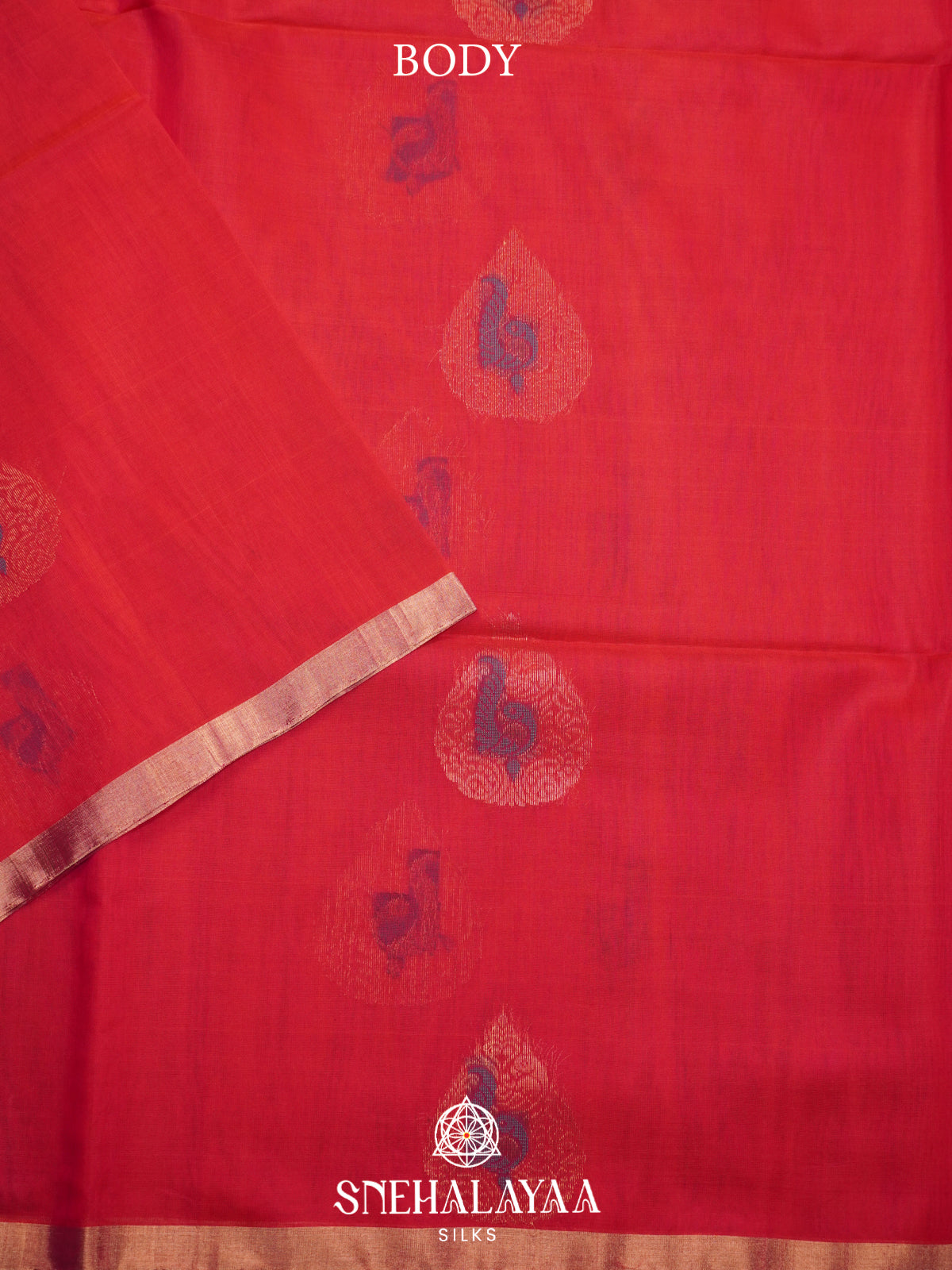 Red Kanchi Silk Cotton Saree