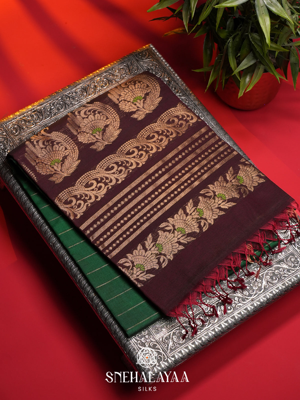 Forest Green Kanchi Silk Cotton Saree