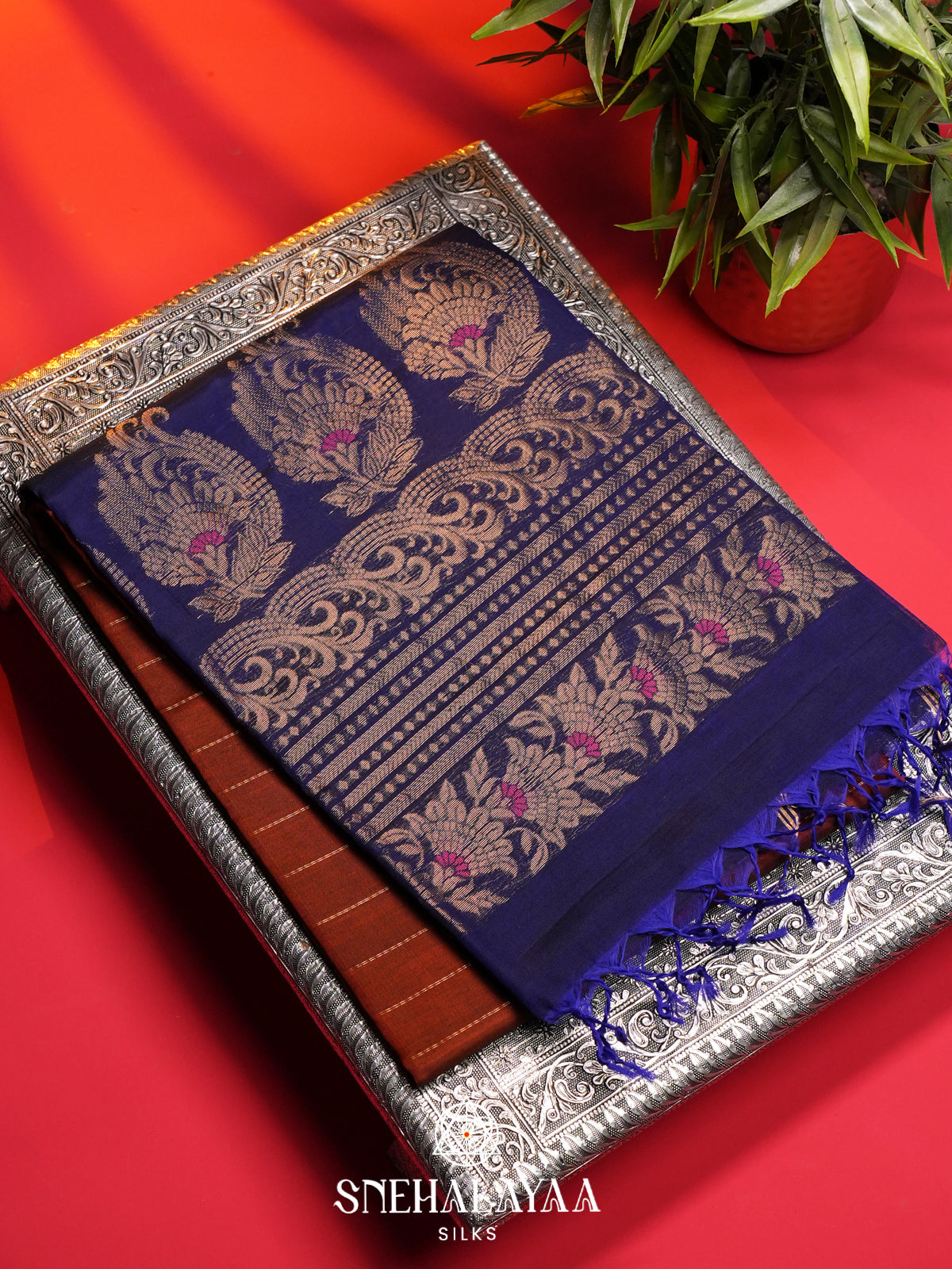 Burnt Orange Kanchi Silk Cotton Saree
