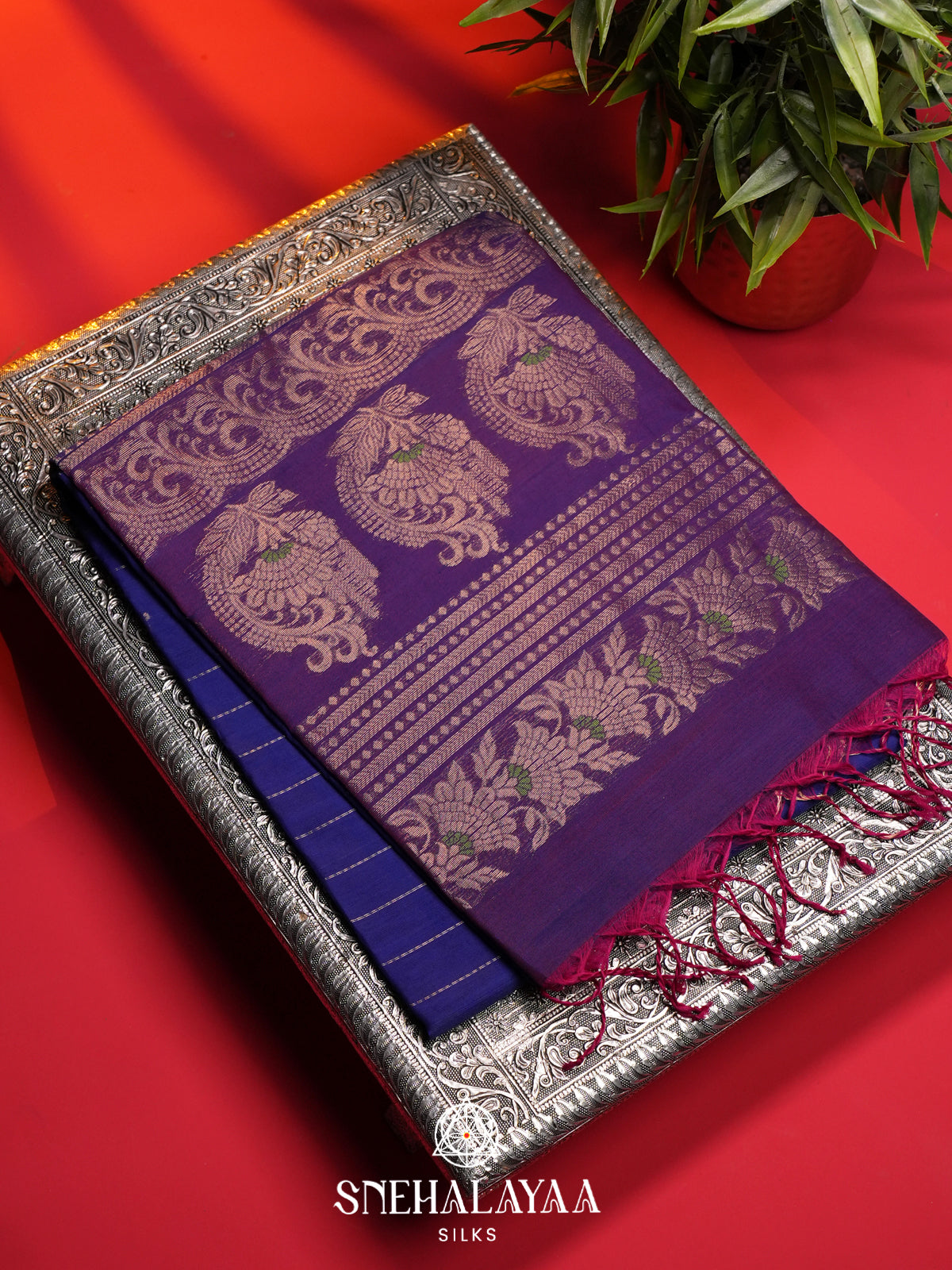 Purple Kanchi Silk Cotton Saree