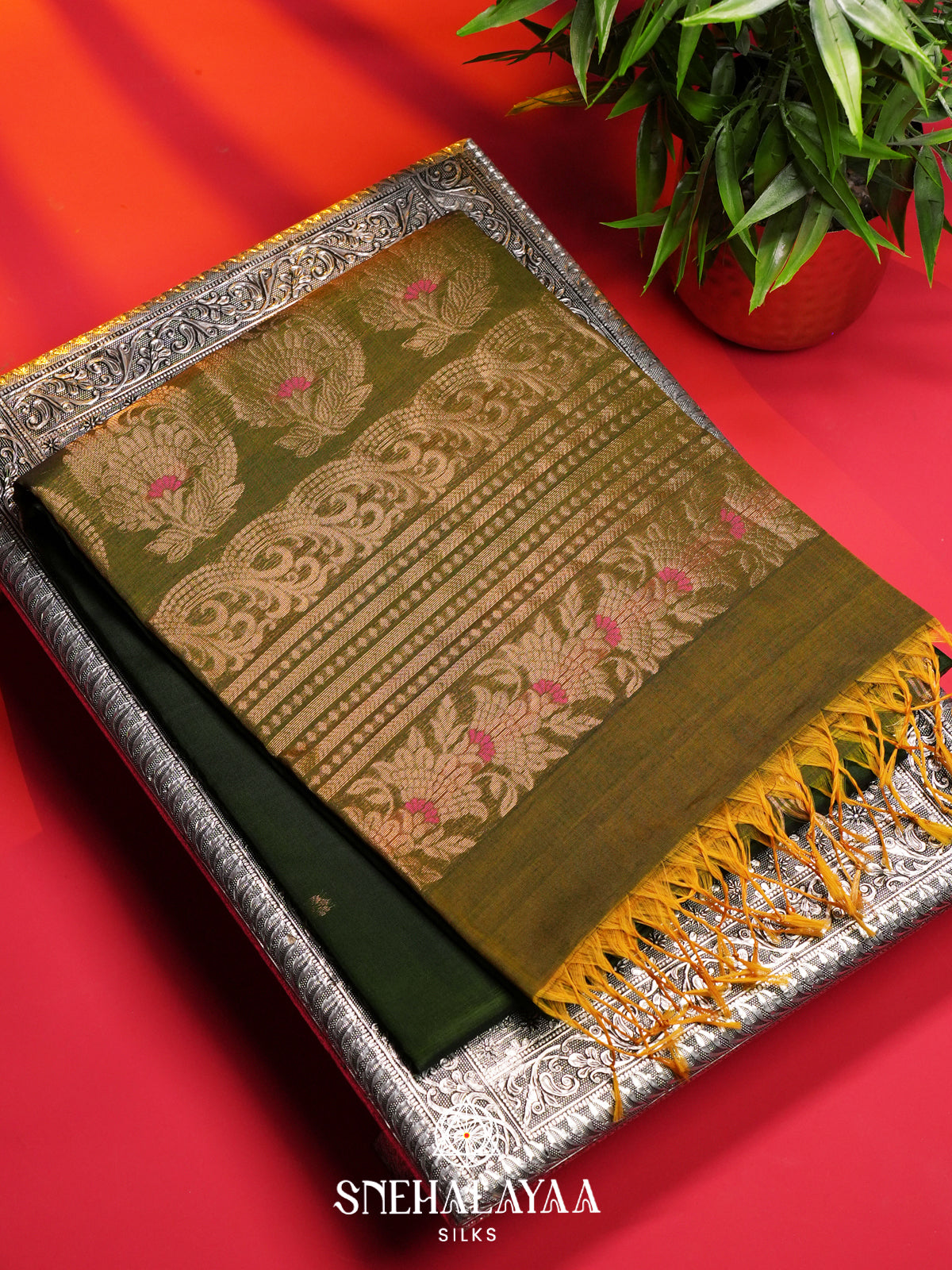 Emerald Green Kanchi Silk Cotton Saree
