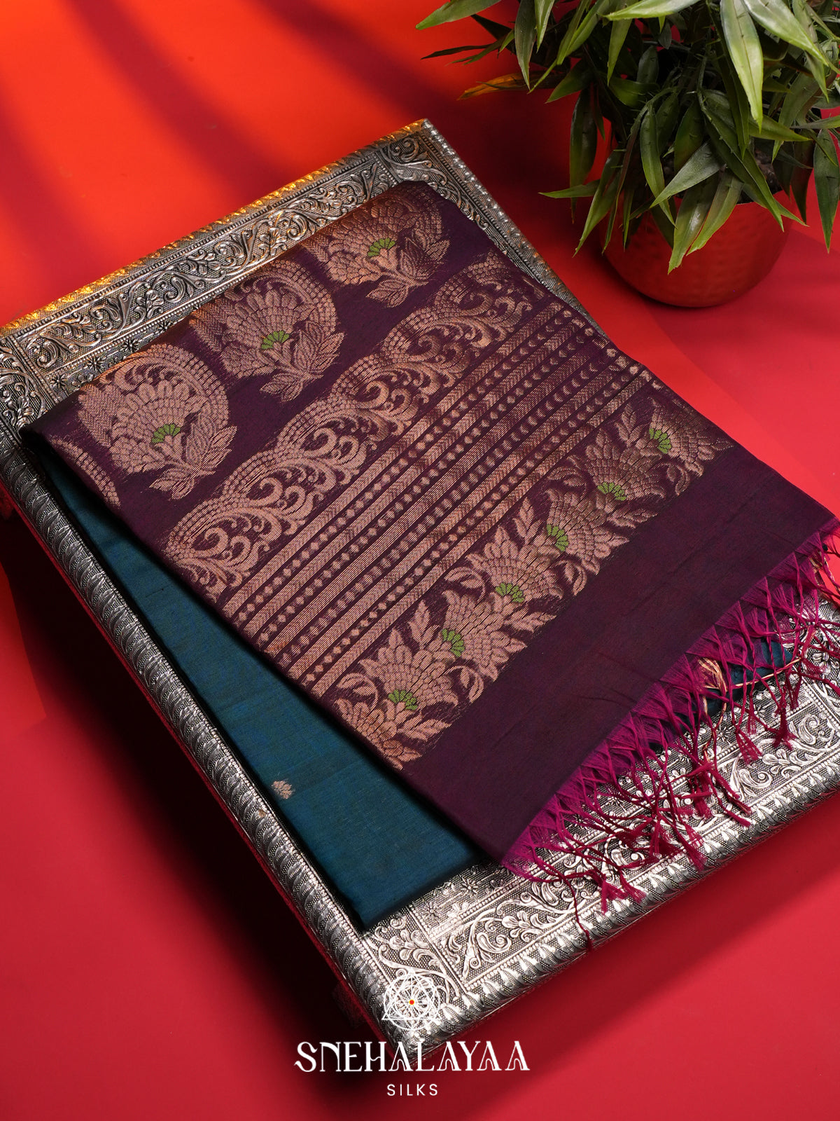 Peacock Blue Kanchi Silk Cotton Saree