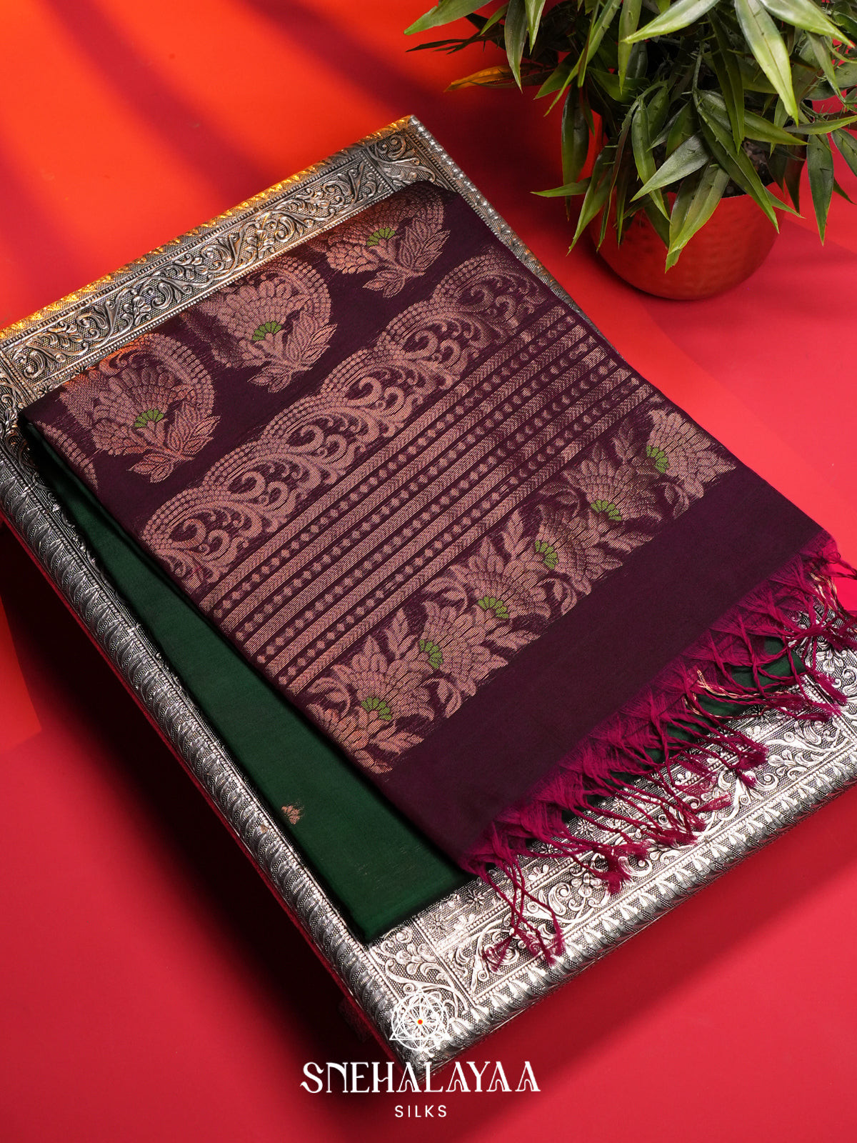 Forest Green Kanchi Silk Cotton Saree