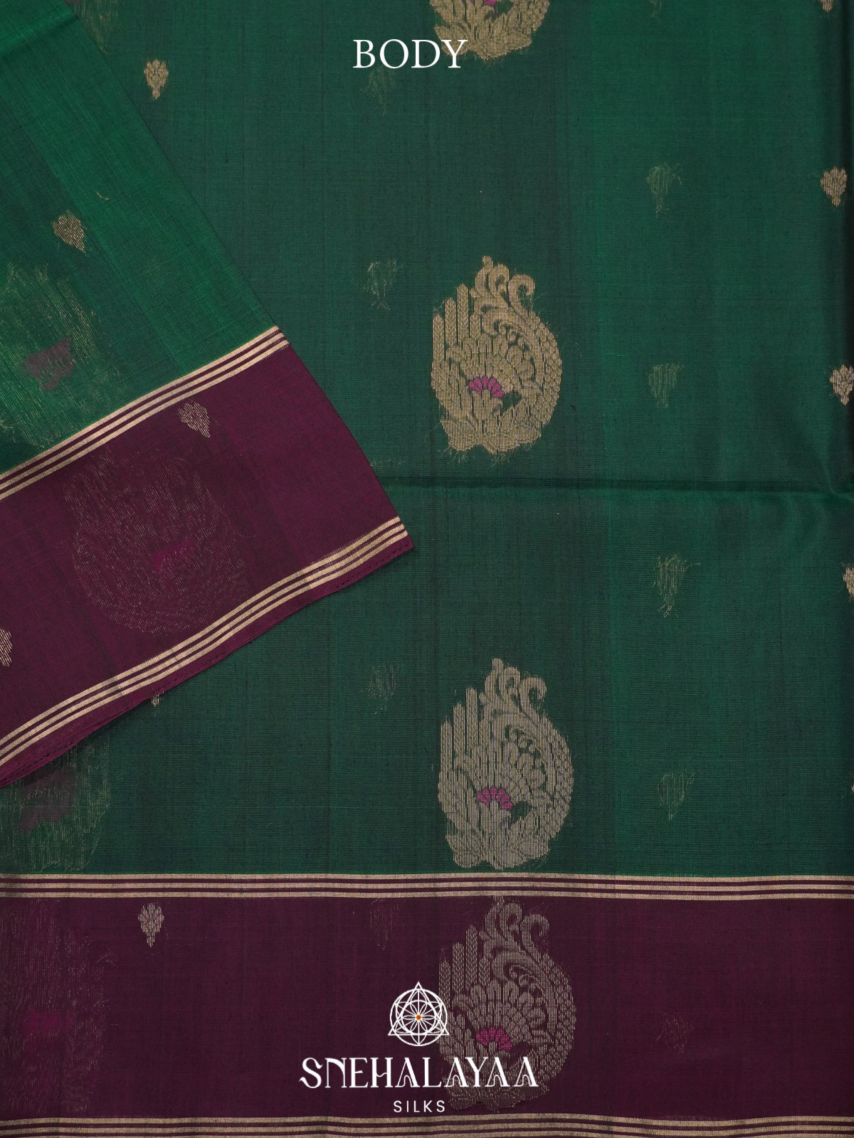 Forest Green Kanchi Silk Cotton Saree