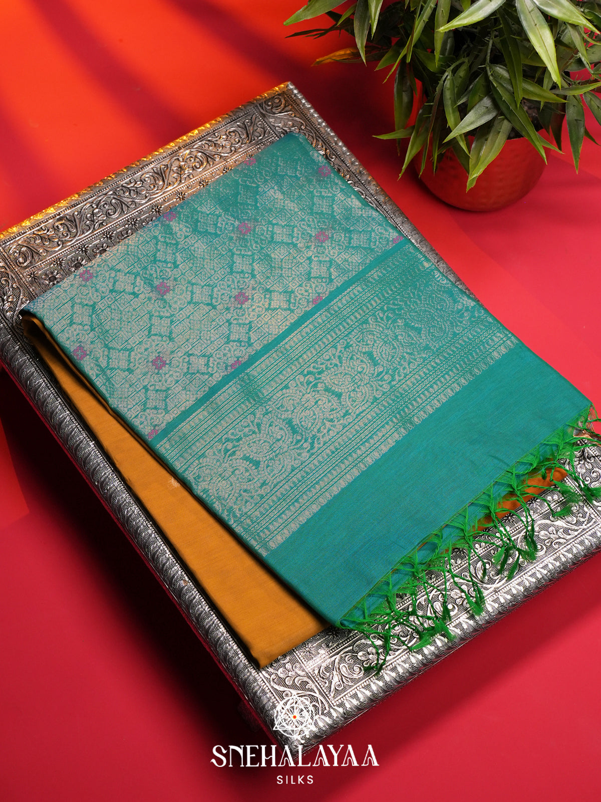 Mango Yellow Kanchi Silk Cotton Saree