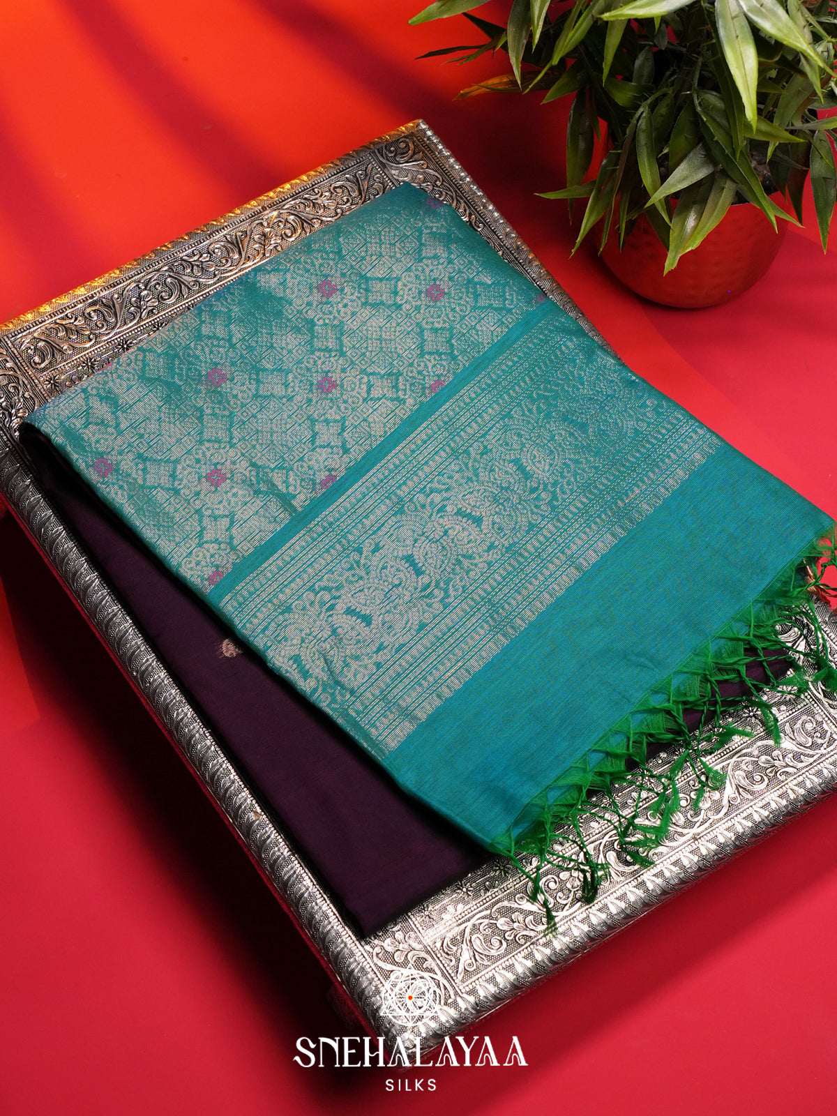 Wine Kanchi Silk Cotton Saree
