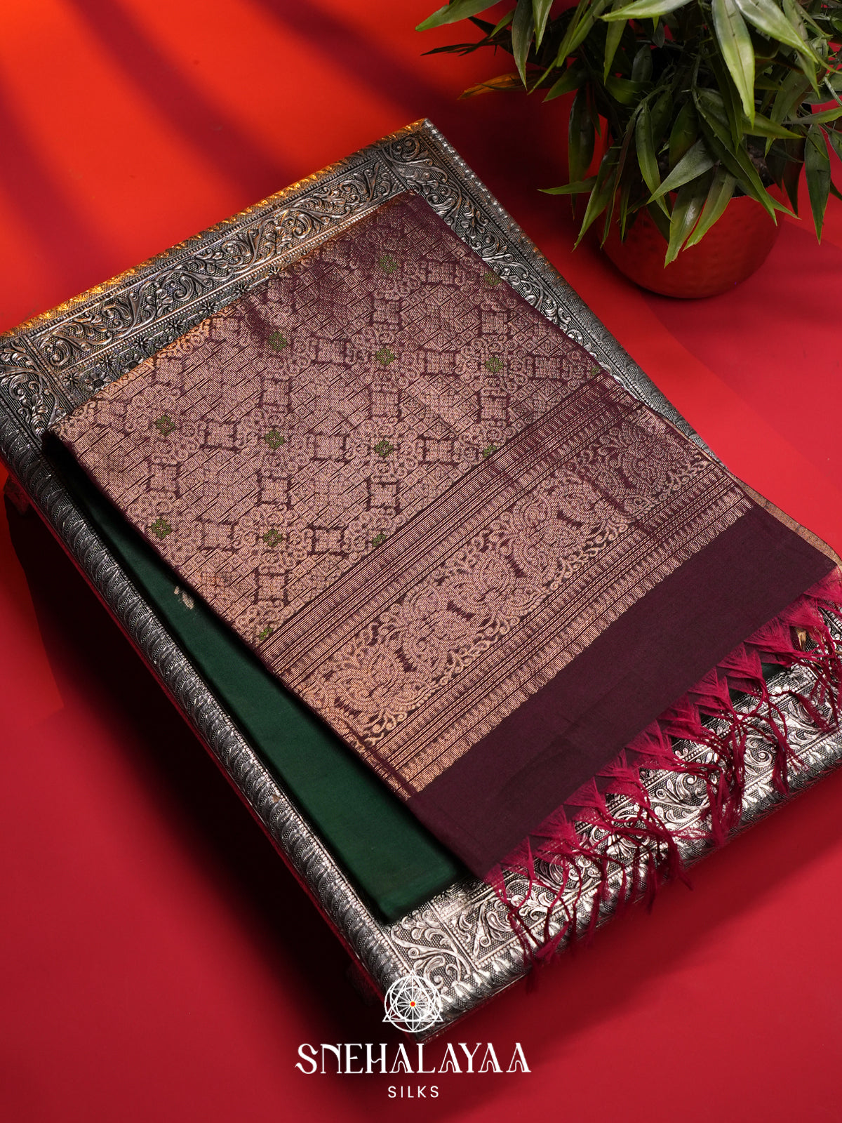 Forest Green Kanchi Silk Cotton Saree