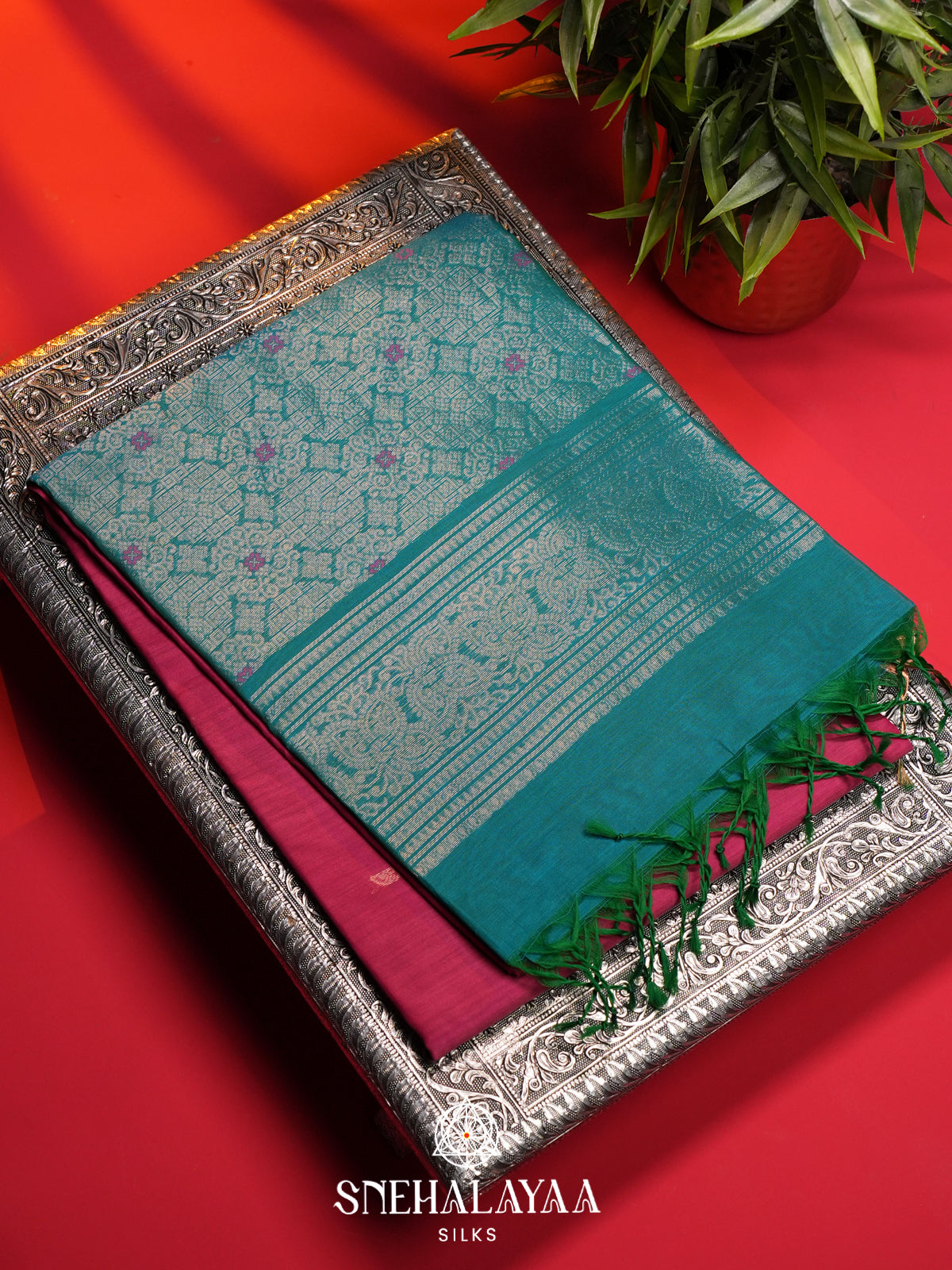 Pink Kanchi Silk Cotton Saree