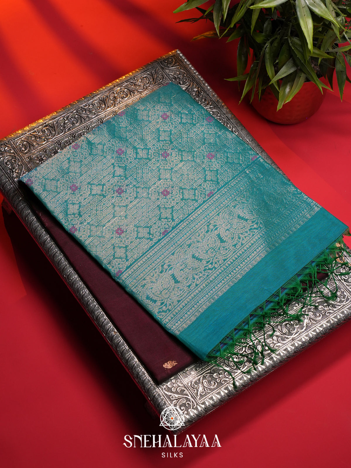 Coffee Brown Kanchi Silk Cotton Saree